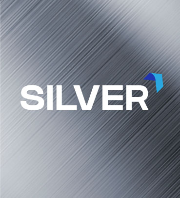 Mantenimiento Silver